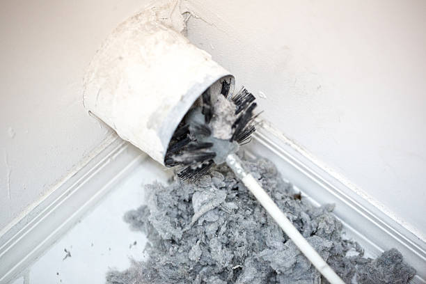 Our Dryer Vent Cleaning Services